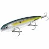 Best Sale 🧨 Fishing Topwater Lures Strike King KVD Sexy Dawg Hard Knock 🎁